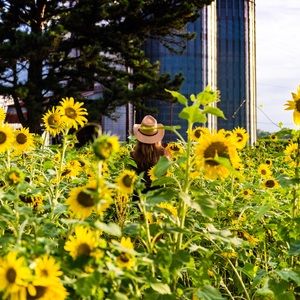 Meet your Posher, Camille